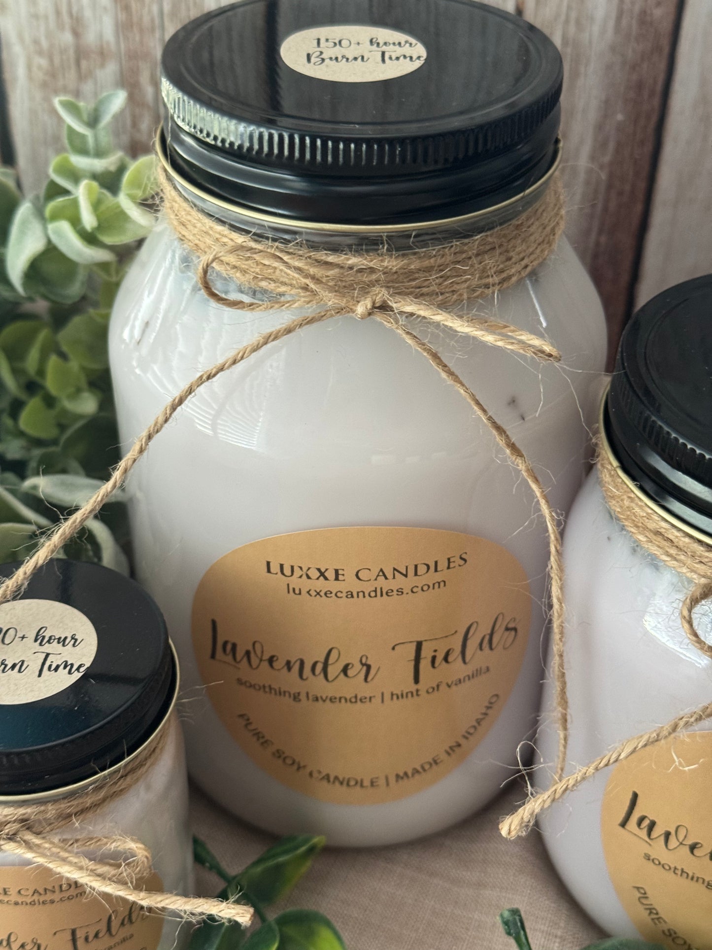 Lavender Fields Jar Candle | Organic Soy Candle