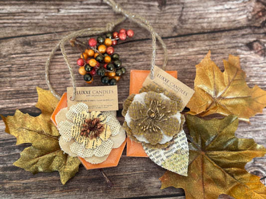 Pumpkin Spice Air Fresheners | Highly Scented Soy Wax | Long Lasting Scent